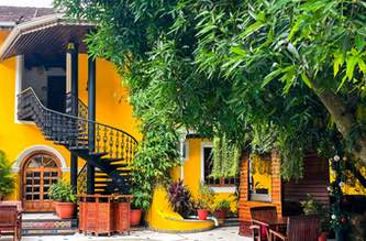 Stay Local, Experience Global